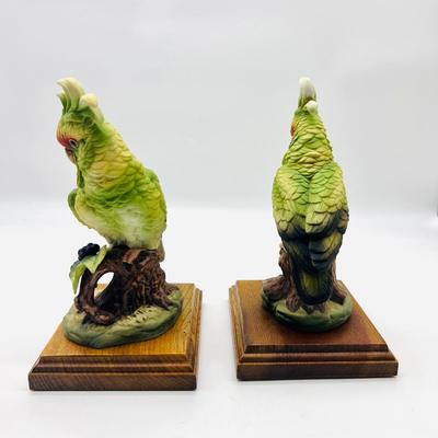 Parakeet & Cockatoo Andrea By SADEK Pair