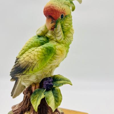 Parakeet & Cockatoo Andrea By SADEK Pair