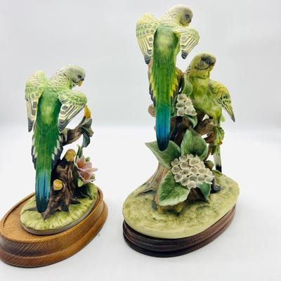 Parakeet & Cockatoo Andrea By SADEK Pair