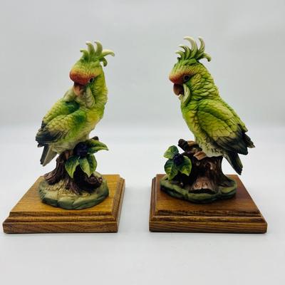 Parakeet & Cockatoo Andrea By SADEK Pair