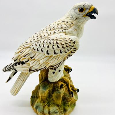 White Dove & Gyrfalcon Andrea By Sadek