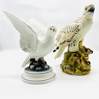 White Dove & Gyrfalcon Andrea By Sadek