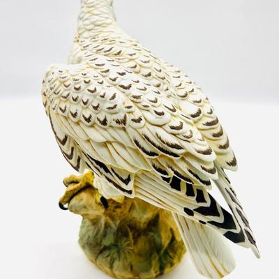 White Dove & Gyrfalcon Andrea By Sadek