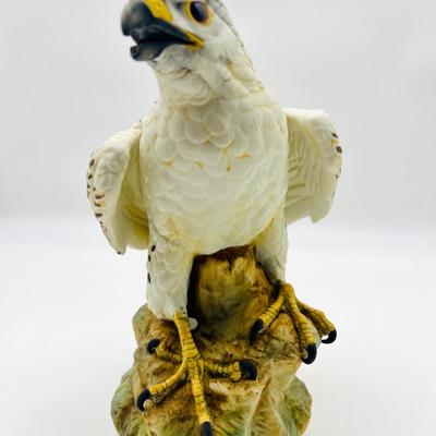 White Dove & Gyrfalcon Andrea By Sadek