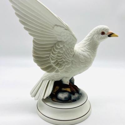 White Dove & Gyrfalcon Andrea By Sadek