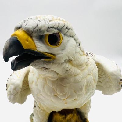 White Dove & Gyrfalcon Andrea By Sadek