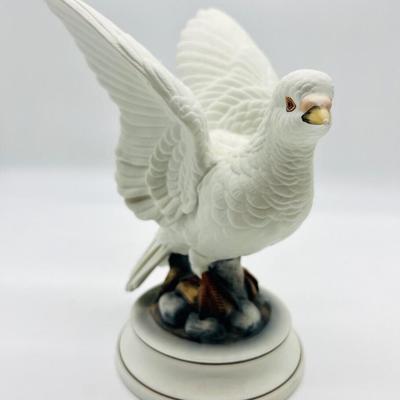 White Dove & Gyrfalcon Andrea By Sadek