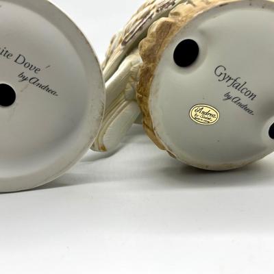 White Dove & Gyrfalcon Andrea By Sadek