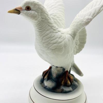 White Dove & Gyrfalcon Andrea By Sadek