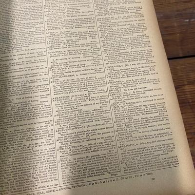 Vintage Webster Unbridged Dictionary