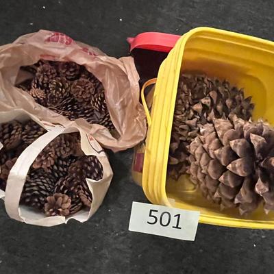Pine Cones - All Sizes