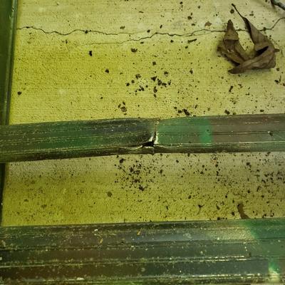 Werner, Husky, Louisville Ladders and More (BY- KD)