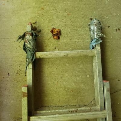 Werner, Husky, Louisville Ladders and More (BY- KD)