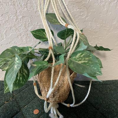 2 Faux Plants