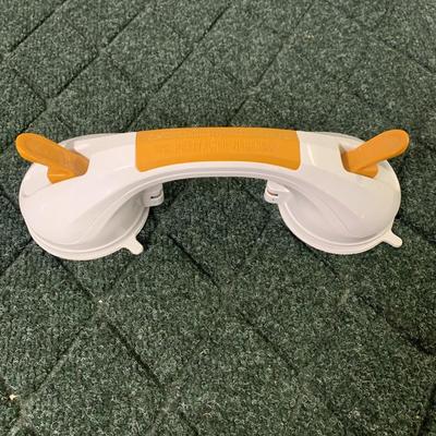 Digital Scale & Suction Cup Grab Bar