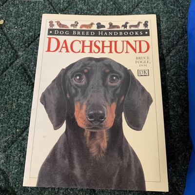 Misc Dog Items