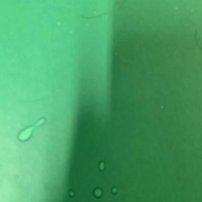 Water Can