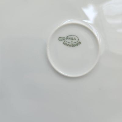 Erphila Czecho-Slovakia Floral Plates Set Of 6  10.5"