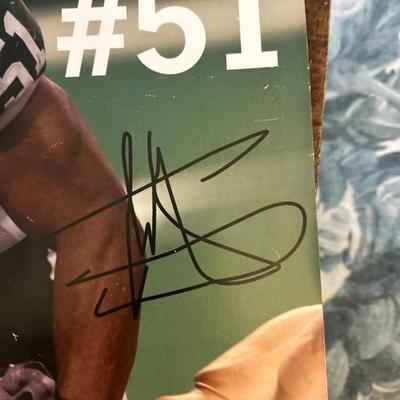 Jonathan Vilma