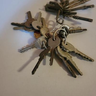 Assortment of Keys and Key Hangers (O-DW)