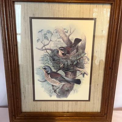 Bird Motif Collection (DR-MG)