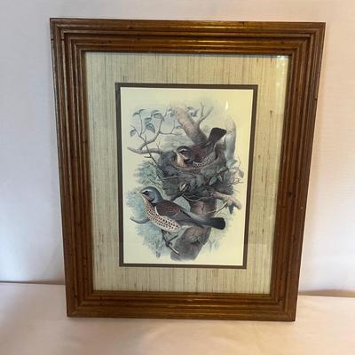 Bird Motif Collection (DR-MG)