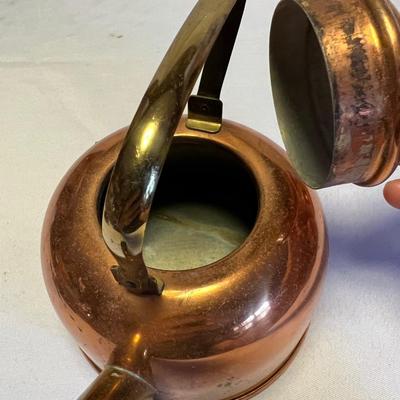 Copper Collection (DR-RG)