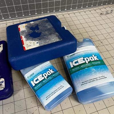 Blue Ice, Ice Packs for the Cooler