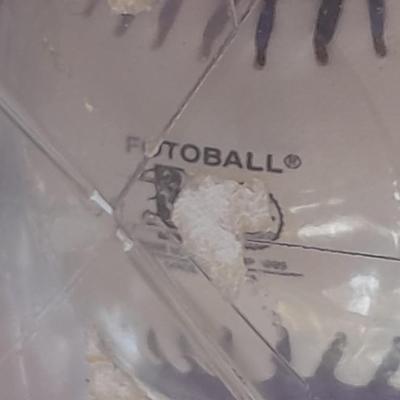 Colorado Rockies Todd Helton 2000 batting champion Fotoball
