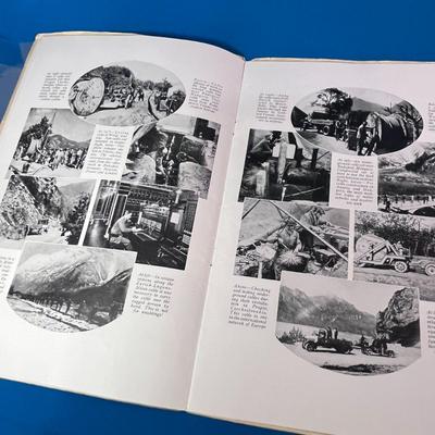 1929 TRAVEL MAGAZINE â€œLONG LINEâ€ 