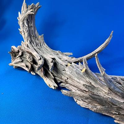 NATURAL COOL PIECE OF DRIFTWOOD