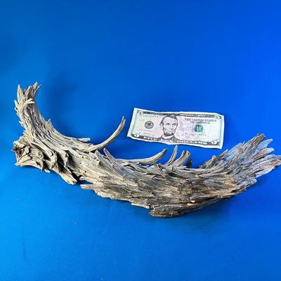 NATURAL COOL PIECE OF DRIFTWOOD
