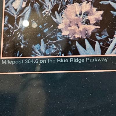 Topography Map, Artist Signed WNC Books & Pottery (O-JS)