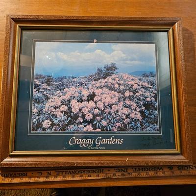 Topography Map, Artist Signed WNC Books & Pottery (O-JS)