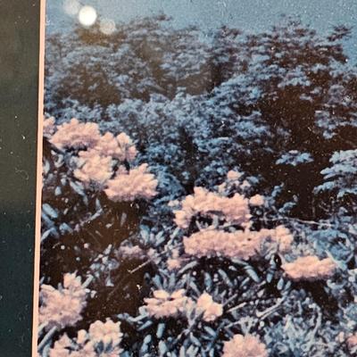 Topography Map, Artist Signed WNC Books & Pottery (O-JS)