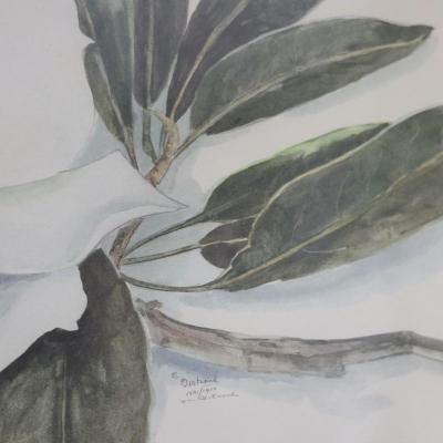 Signed Mary Bertrand Large Framed Watercolor Print