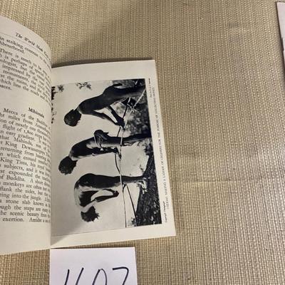 Village Scene Book