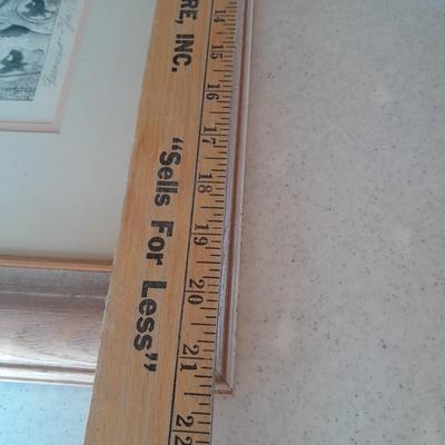 "Farmicist" signed numbered and framed art 71/100 Bo Steck? Pharmacist Pharmacy pig