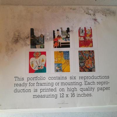 Henri Matisse Portfolio of five prints, each have been laminated