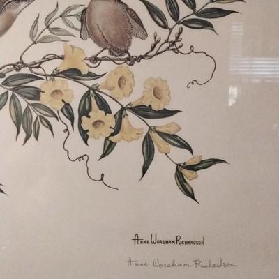 Anne Worsham Richardson - Carolina Wren with Yellow Jessamine Signed and Numbered