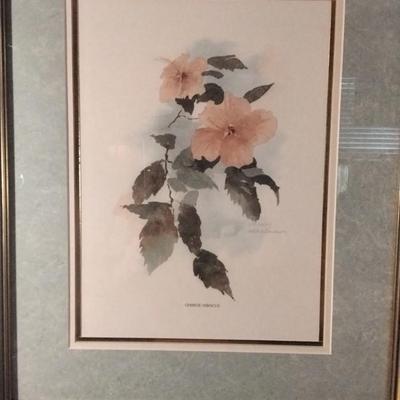 David Nichols Chinese Hibiscus Signed and Numbered Framed Print 249/1950