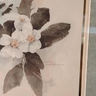 David Nichols Primrose Signed and Numbered Framed Print 232/1950