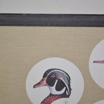 Judy Moos Elton Pencil Drawing & 8 Duck Prints All Signed & Numbered