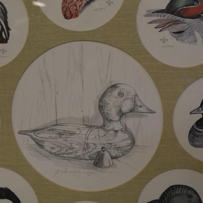 Judy Moos Elton Pencil Drawing & 8 Duck Prints All Signed & Numbered