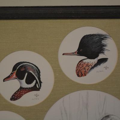 Judy Moos Elton Pencil Drawing & 8 Duck Prints All Signed & Numbered