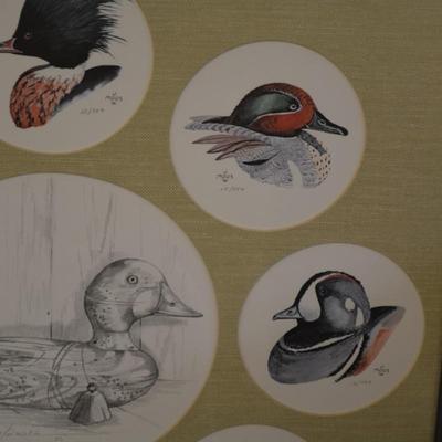Judy Moos Elton Pencil Drawing & 8 Duck Prints All Signed & Numbered