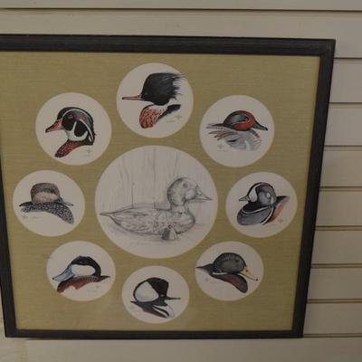 Judy Moos Elton Pencil Drawing & 8 Duck Prints All Signed & Numbered