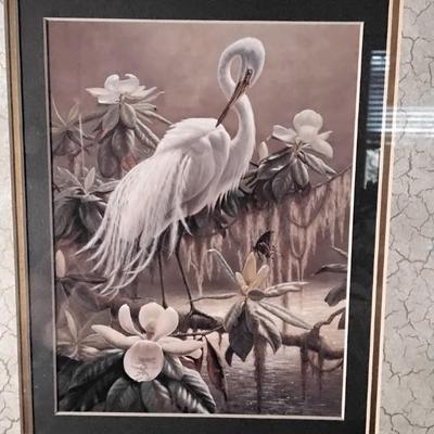 Bird of Paradise Framed and Matted Print