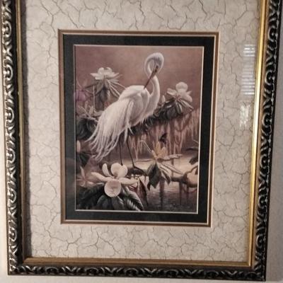 Bird of Paradise Framed and Matted Print