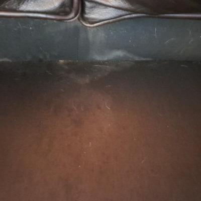 Bernhardt sofa